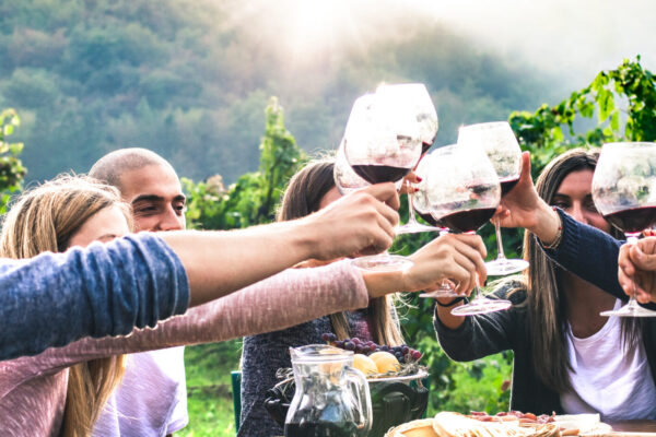 Happy friends enjoying harvest time together drinking wine at farm house countryside - Life style concept with millenial people hands toasting red wine glasses at vineyard - Horizontal crop filter